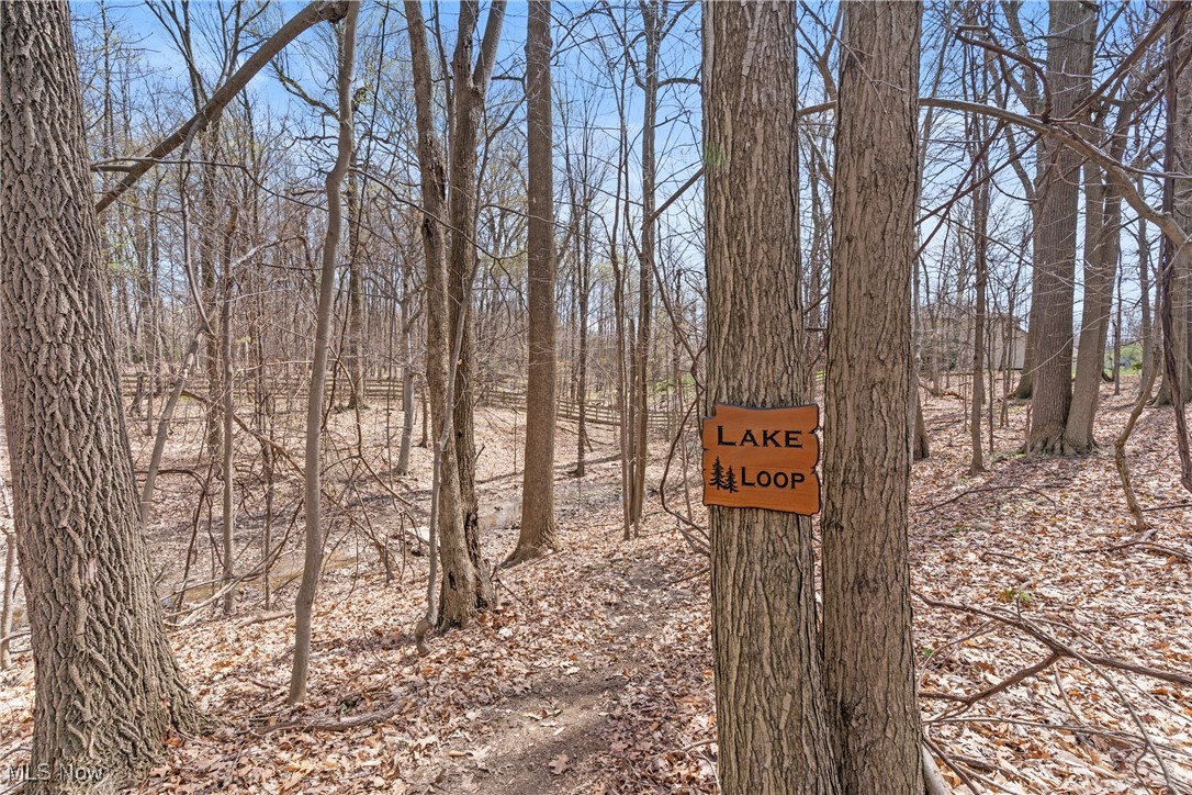 7951 Timber Ridge Drive, North Royalton, Ohio image 46