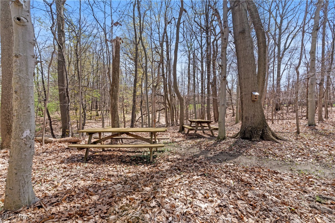 7951 Timber Ridge Drive, North Royalton, Ohio image 44
