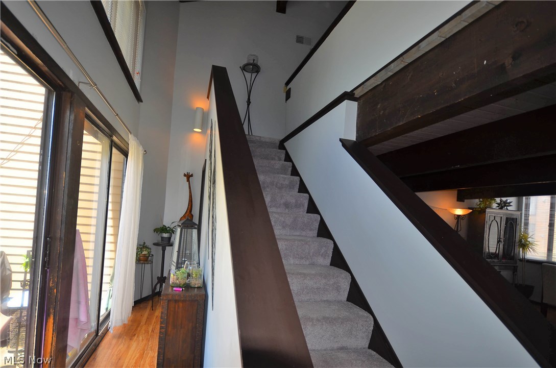 Penguin Condo - Residential