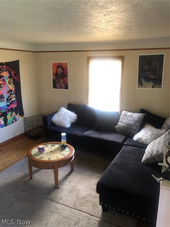 Frisbie Companys Mars Hill All - Residential