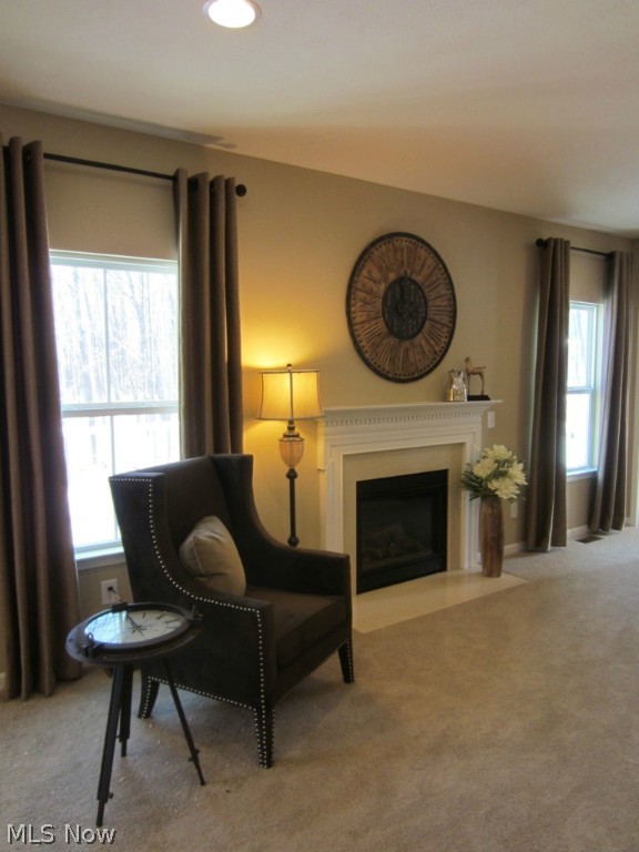 Timber Ridge - Residential