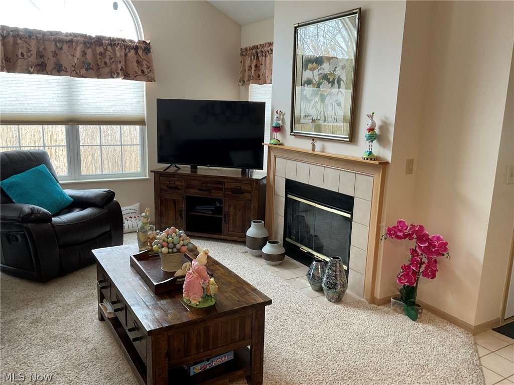 Villas At Mentor On The Lake Condo - Residential