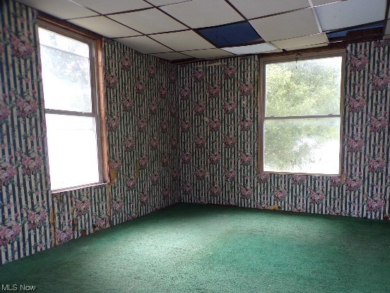 Blandys Hill - Residential