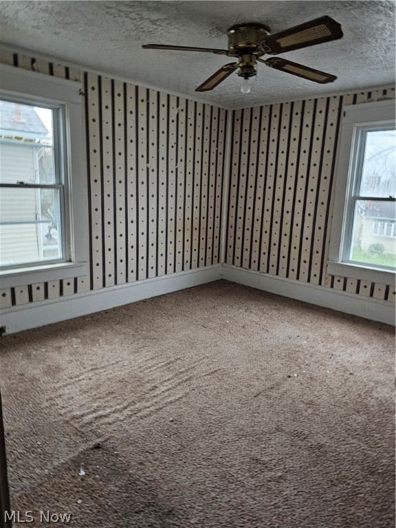 Belle Terrace - Residential