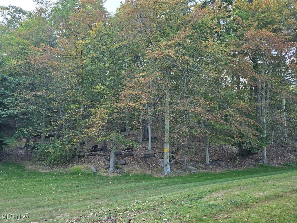 Woods/Brecksville Condo - Residential