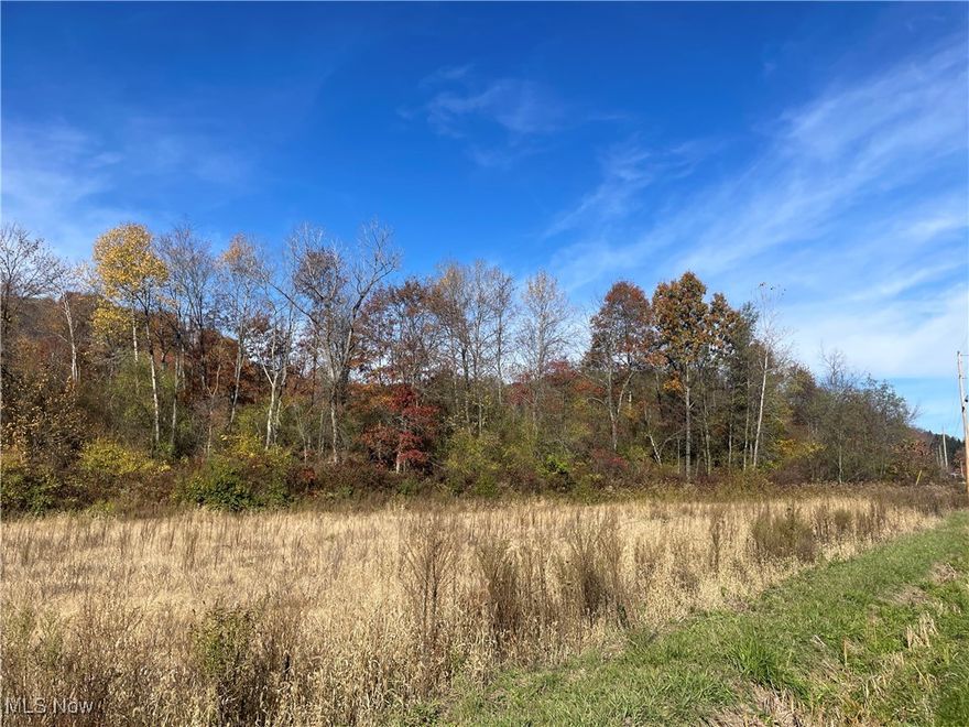 This 16-acre property is mostly wooded with a small field at the road, providing the perfect spot for a building site or simply to enjoy nature from. The property is surrounded on 3 sides by wooded acreage with good signs of deer, making it the ideal hunting piece. Whether you're looking for a building site, a deer hunters dream or simply an investment piece this tract offers plenty of versatility. Immediate hunting rights are available upon earnest money deposit just in time for hunting season. Feel free to walk the property at your convenience. Mineral rights haven been previously reserved.