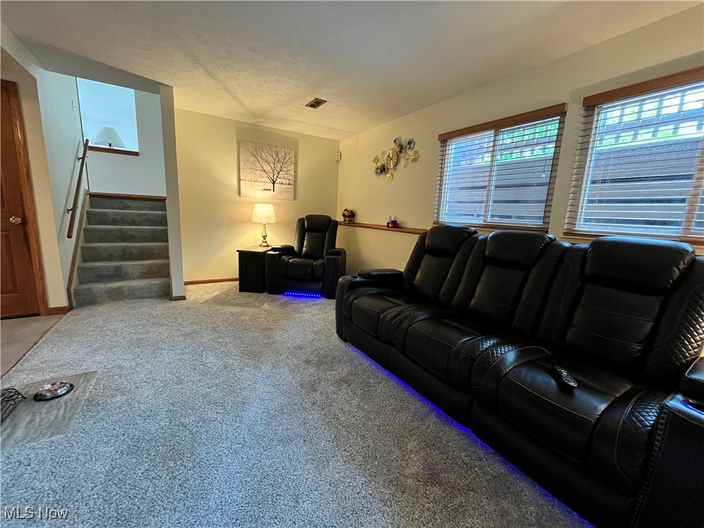 931 Smokerise Drive, Medina, Ohio image 23