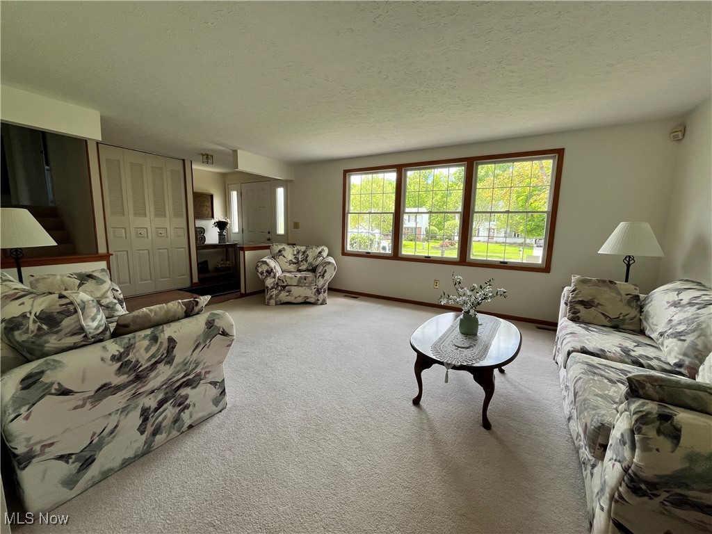931 Smokerise Drive, Medina, Ohio image 13