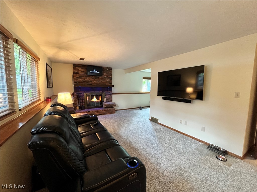 931 Smokerise Drive, Medina, Ohio image 22
