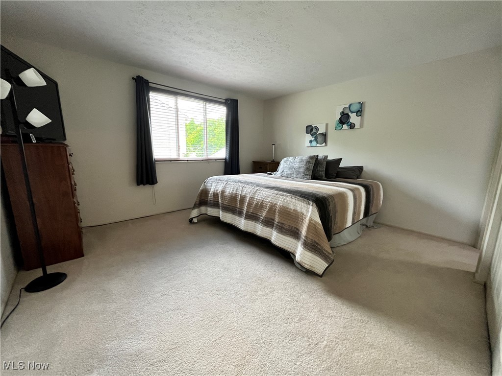 931 Smokerise Drive, Medina, Ohio image 18
