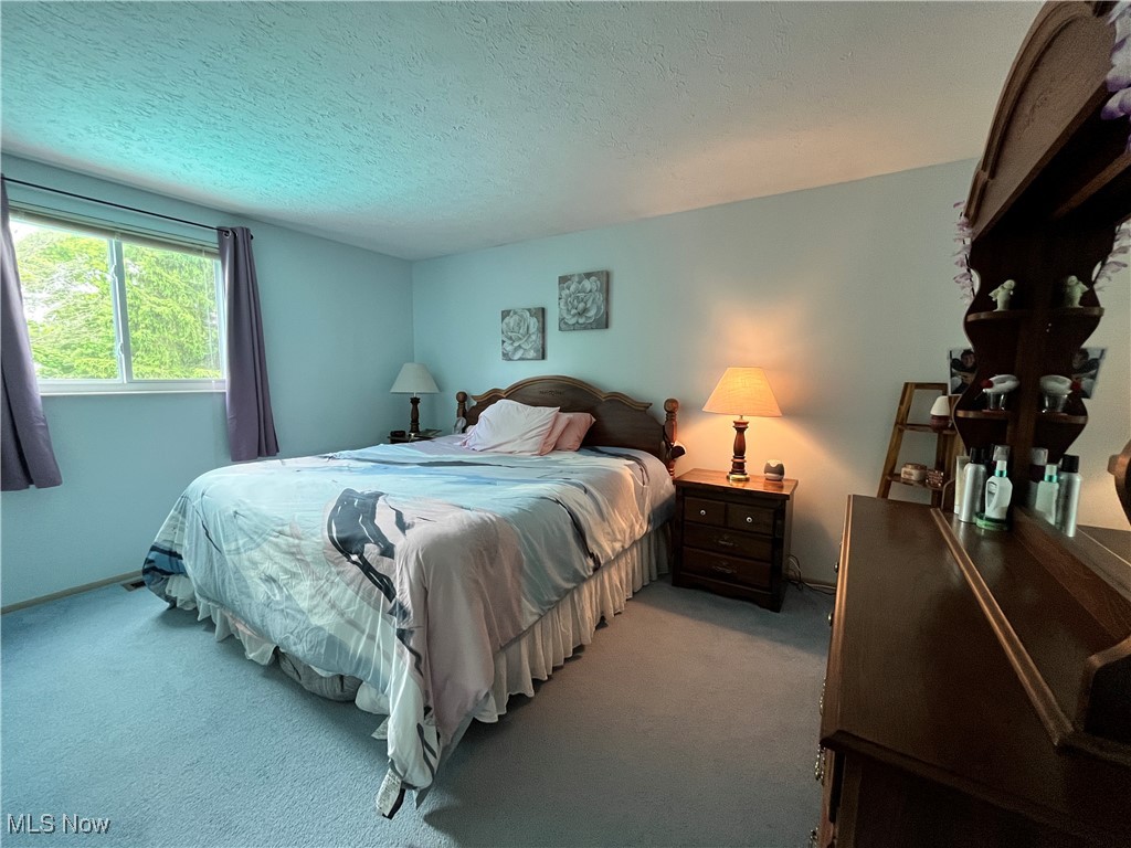931 Smokerise Drive, Medina, Ohio image 19