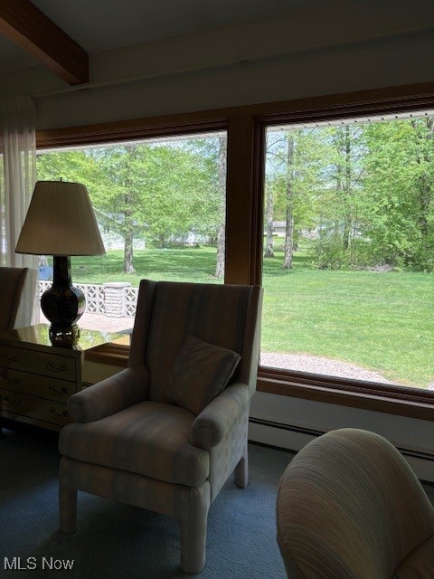 2567 S Canal, Newton Falls, Ohio image 10