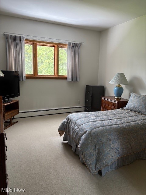 2567 S Canal, Newton Falls, Ohio image 21
