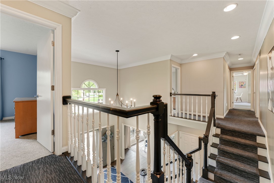 344 Cheyenne Falls Drive, Avon Lake, Ohio image 25