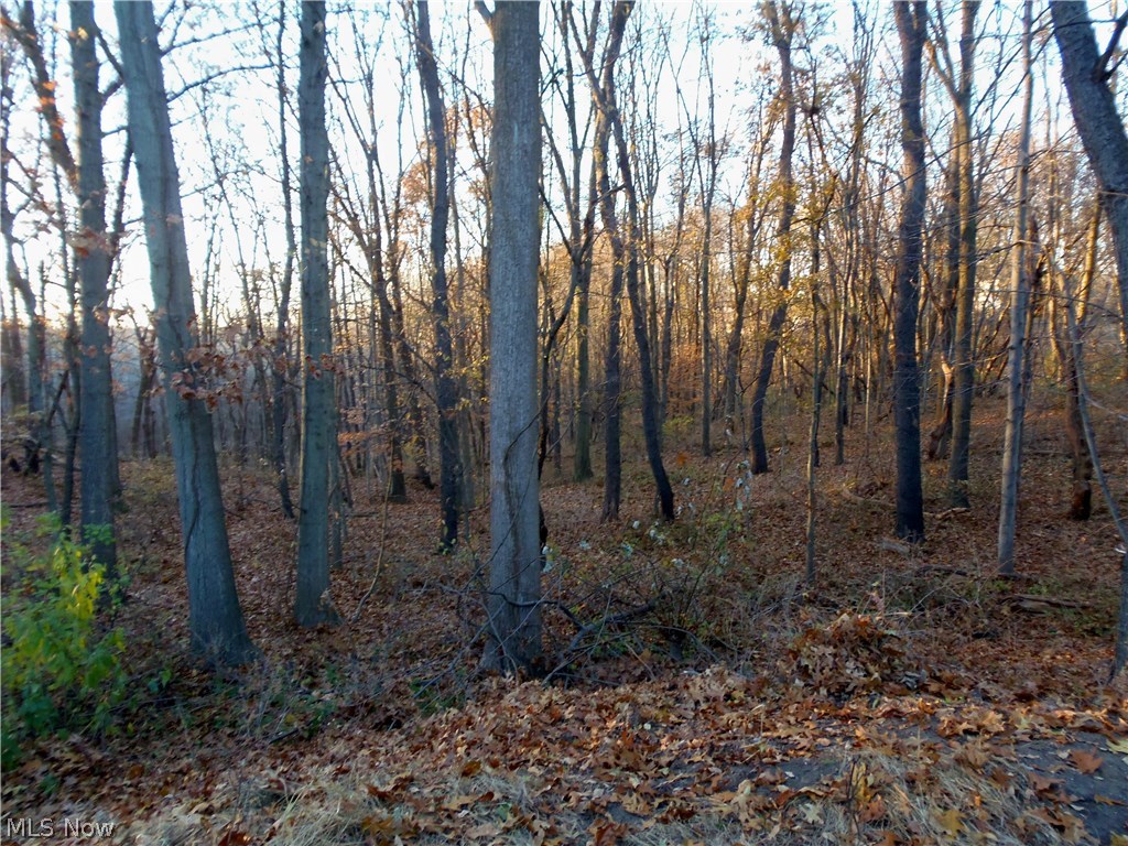 Tuscarawas Park Condo - Residential