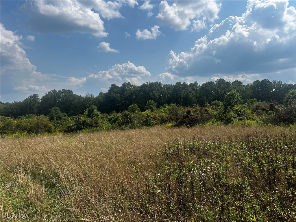 Cates Road, Akron, Ohio image 8