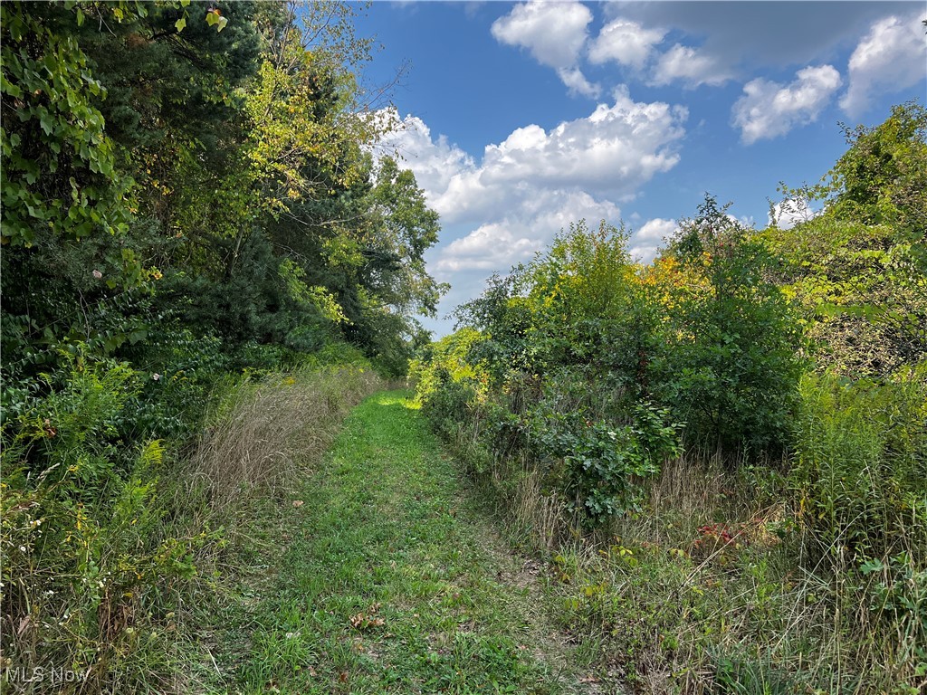 Cates Road, Akron, Ohio image 9