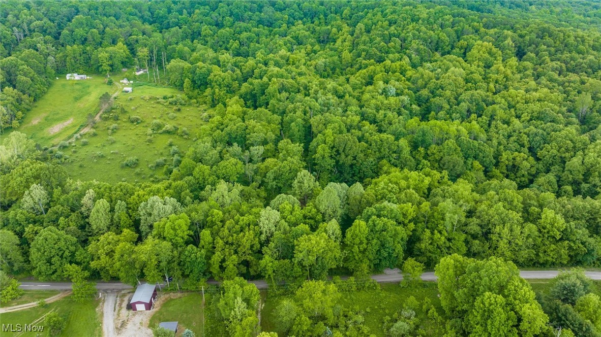 16182 Gunn Road, Lore City, Ohio image 12