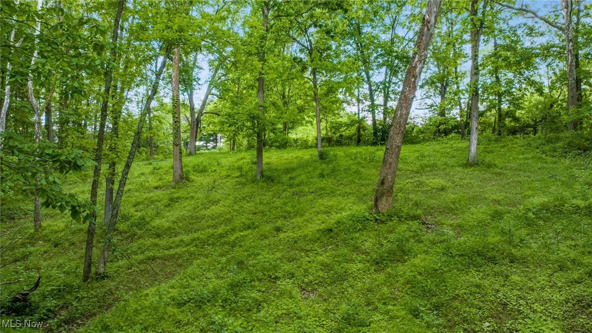 16182 Gunn Road, Lore City, Ohio image 16