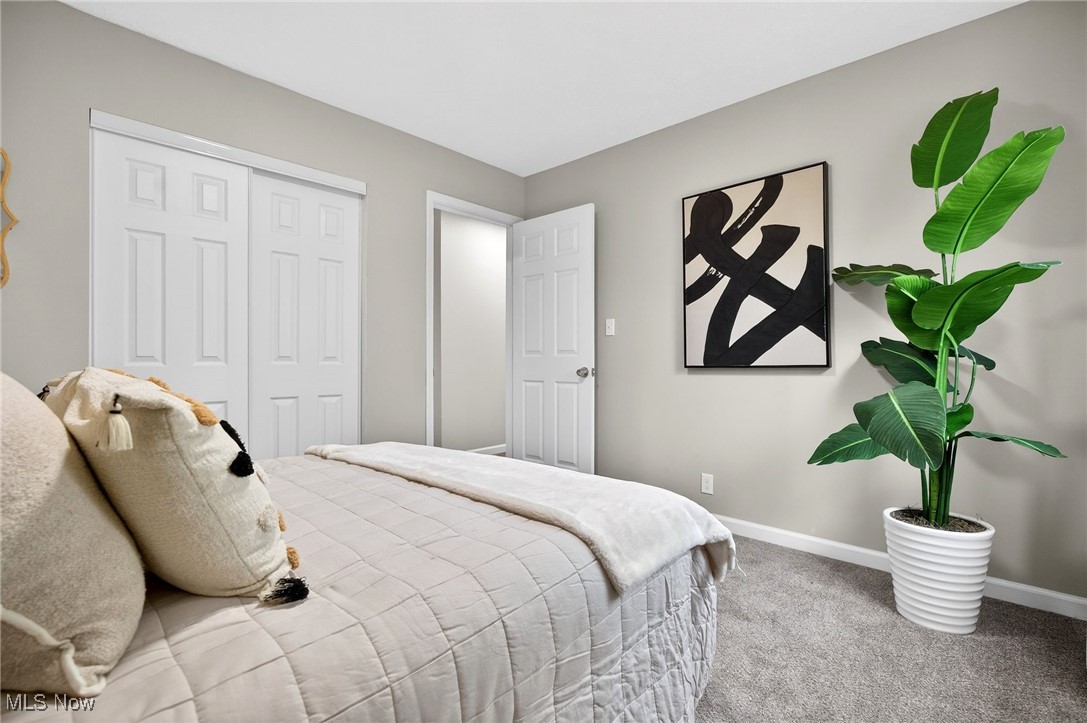 Windham Estate - Residential