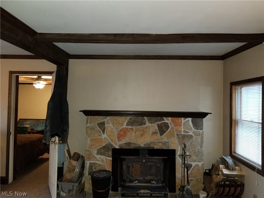 Chippewa Lake Village - Residential