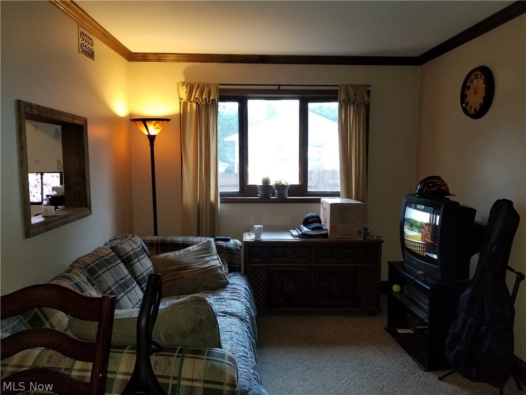 Chippewa Lake Village - Residential