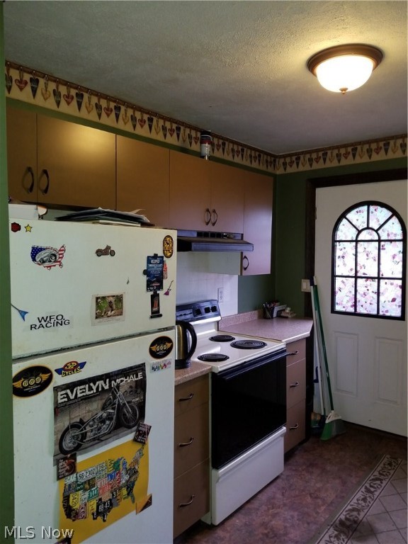 Chippewa Lake Village - Residential