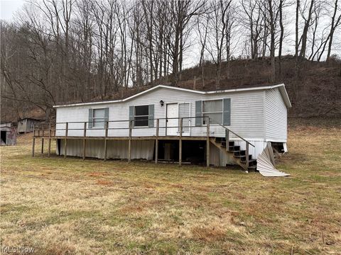 Homes For Sale - 161 Cow Lane<br/> Calhoun County, Arnoldsburg, WV 25234
