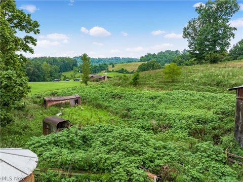 Tiny photo for 46601 Valley Road, Caldwell, OH 43724 (MLS # 5237247)