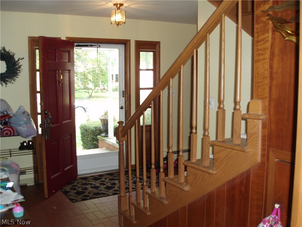 Oak Tree - Residential