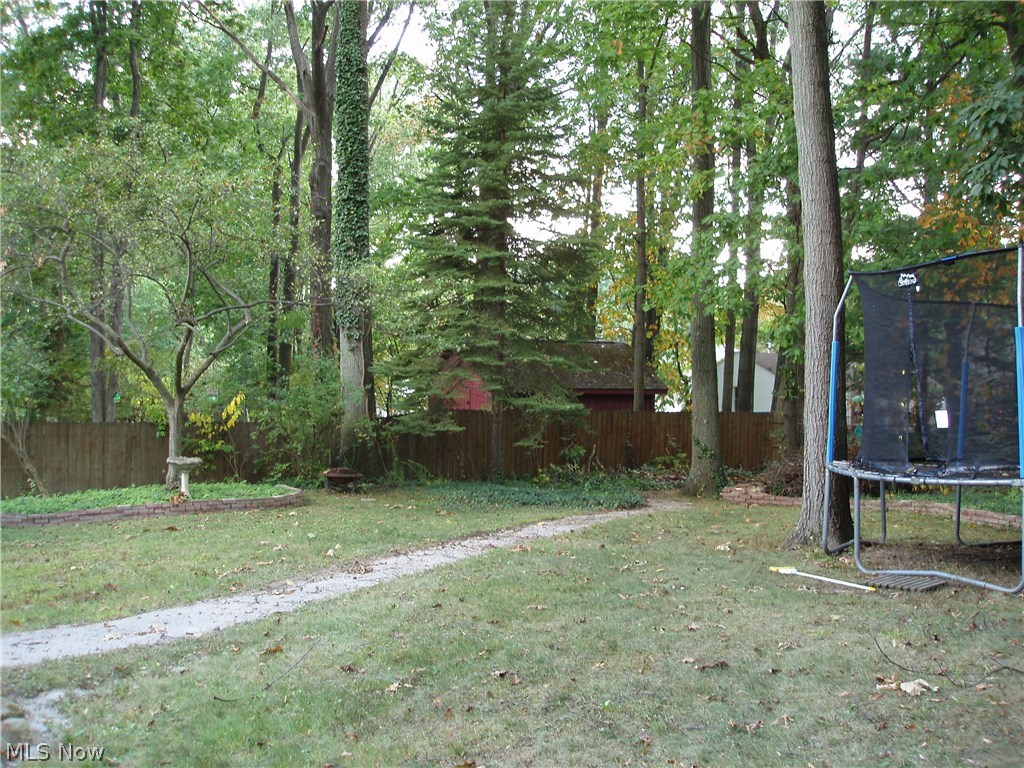 Oak Tree - Residential