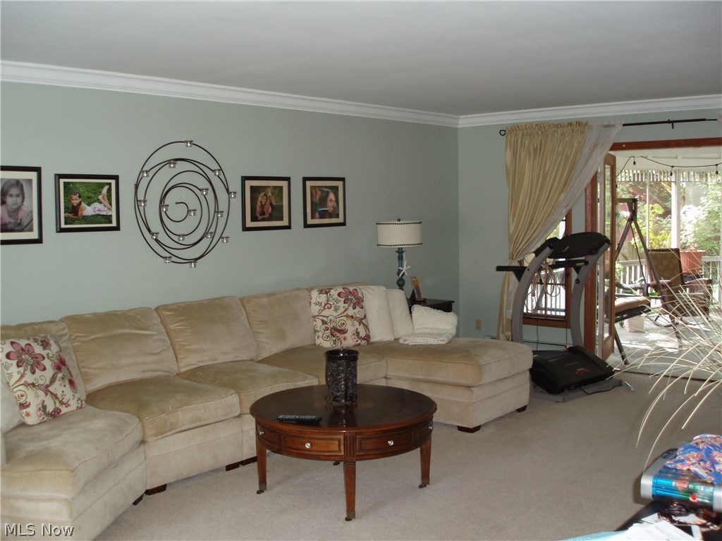 Oak Tree - Residential