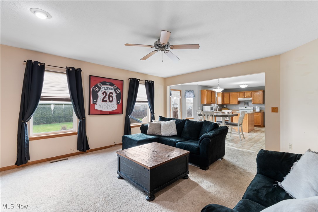 38531 Terrell Drive, North Ridgeville, Ohio image 8