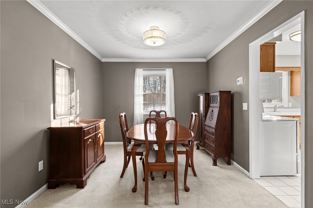 Old Meadow Estate - Residential