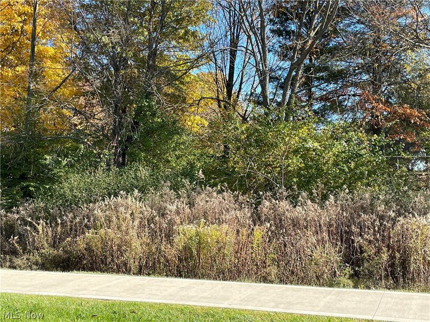 Prime real estate located at the Stow/Hudson border just off of busy Norton Rd.  Curbs and sidewalks already in.  Great access via Darrow Rd to Stow and Hudson, as well as quick and easy access to Route 8.  This is a newly created parcel just awaiting the parcel number assigned by Summit County.  Reference Parcel "A" in photos