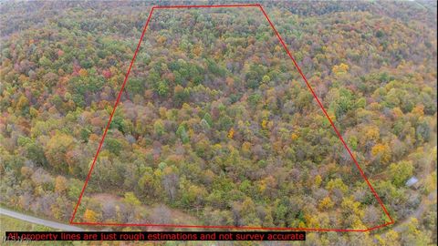 Vacant Land For Sale - 49100 Township Road 198<br/> Clarington, OH 43915