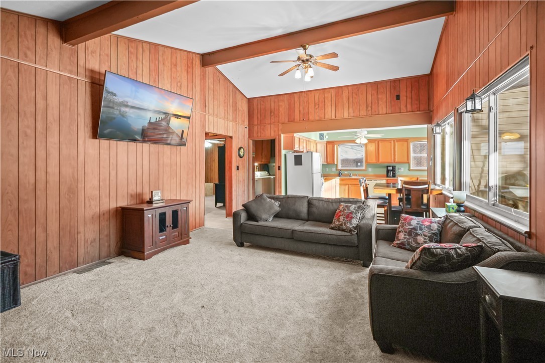 Cinnamon Lake - Residential