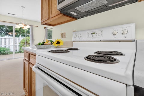 Tiny photo for 1044 Patrick Place #12, Wooster, OH 44691 (MLS # 5222104)