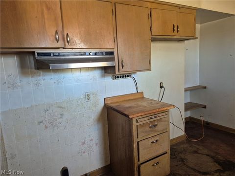 Tiny photo for 1093 E Schaaf Road, Independence, OH 44131 (MLS # 5190145)