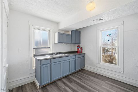 Tiny photo for 333 Lloyd Street, Akron, OH 44301 (MLS # 5184928)