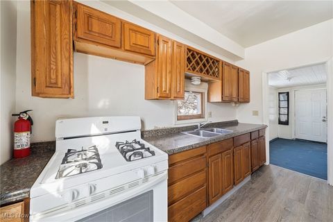 Tiny photo for 333 Lloyd Street, Akron, OH 44301 (MLS # 5184928)