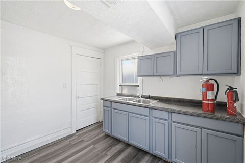 Tiny photo for 333 Lloyd Street, Akron, OH 44301 (MLS # 5184928)