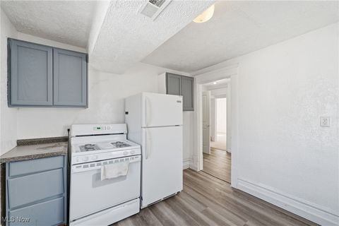 Tiny photo for 333 Lloyd Street, Akron, OH 44301 (MLS # 5184928)