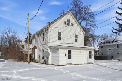 Tiny photo for 333 Lloyd Street, Akron, OH 44301 (MLS # 5184928)