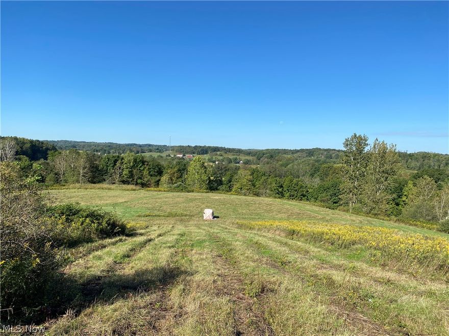 64 Rolling acres with a good mix of wooded timberland, open hillsides providing building sites, excellent hunting and recreation, all with several good access points and over 2860' of frontage on Route 30. This property was split. 40 acres/24 acres