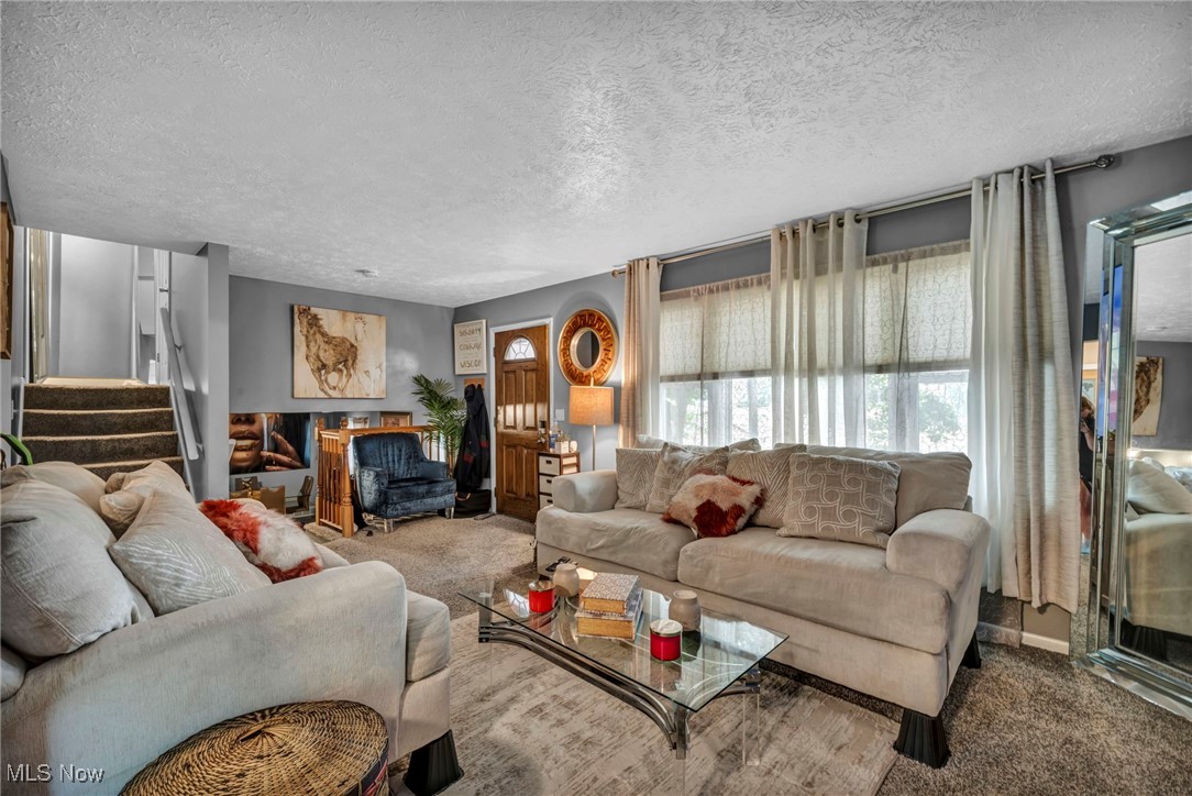 Springfield Heights Allotment - Residential