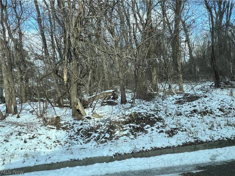 Photo for Harding Street
