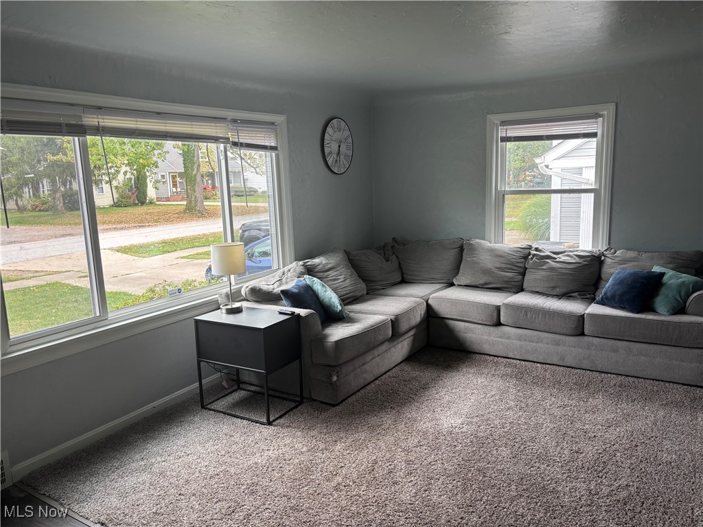 Willowick Park Allotment - Residential