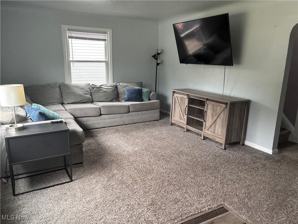 Willowick Park Allotment - Residential