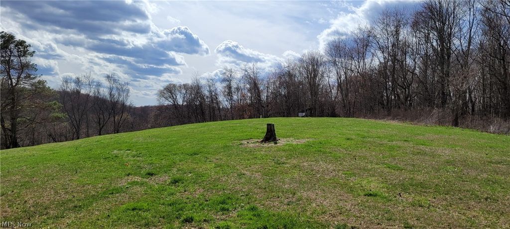 Photo of 58547 Township Road 109, Kimbolton, OH 43749 (MLS # 5196858)